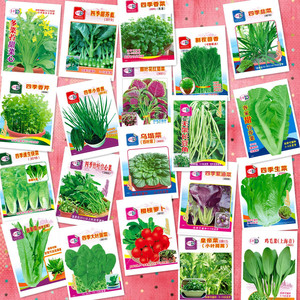 20包种子套餐 水培土培蔬菜种籽 家庭园艺生菜空心菜鸡毛菜微彩包