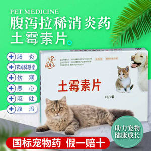 宠物药品土霉素片兽药兽用泰迪大型犬猫狗腹泻拉稀消炎肠炎肠胃药
