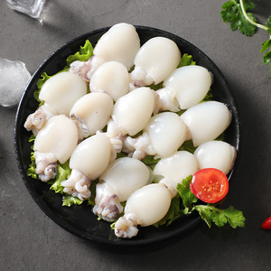 冷冻八爪章鱼仔