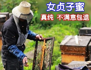 女贞子蜂蜜 纯真女贞子蜜 女贞子药田蜂蜜 不满意包退 500g买3送1