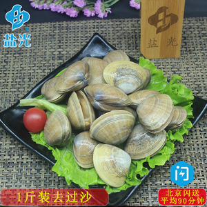 青岛野生鲜活海鲜黄蚬子1斤装贝壳去沙子 蛤蜊花蛤白蛤鲜活水产