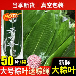 季季香粽子叶真空包装50片粽叶新鲜干箬竹叶特大号端午节包粽子