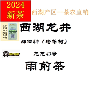 【2024新茶】西湖龙井雨前茶特级老茶树龙井43号 新茶 茶农直销