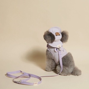INS韩国五色格子可爱小熊系列胸背带宠物狗狗小型犬牵引绳遮阳帽