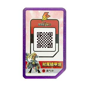 宝可梦加傲乐支援牌一张穿着熊阿罗拉雷丘拉普拉斯水箭龟喷火龙