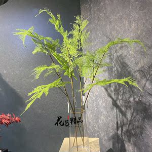 仿真文竹 树叶小绿叶插花叶子轻盈ins现代简约北欧装饰假绿植盆景