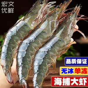 虾冻虾冰虾大虾海虾生鲜鲜虾新鲜白虾海鲜水产基围虾