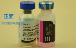 国行辉瑞硕腾八联疫苗狗狗疫苗卫佳8捌宠物狗疫苗卫佳