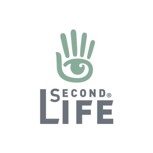 second life linden dollar 第二人生 游戏币 林登币 5000l$
