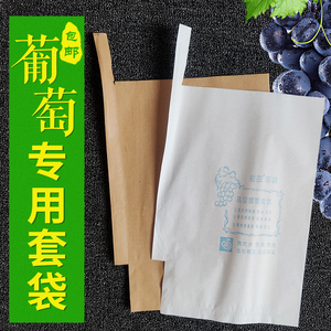 葡萄套袋专用袋杨桃水晶提子荔枝龙眼果树袋子果袋水果纸袋防虫鸟