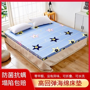 49同款货源1008人己收货淘宝东北农村火炕炕席泡沫垫铺炕的海绵炕