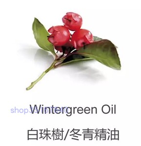芳香完全挥发芳疗纯单方白珠/冬青精油精油10ml缓解肌肉酸痛按摩