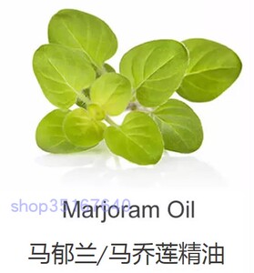 马郁兰马乔莲精油10ml完全挥发单方精油按摩香薰护肤收毛孔止疼