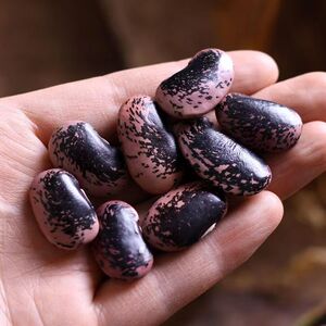 云南大黑花芸豆1000克牛眼豆大花豆黑芸豆肾豆农家产杂粮特产新货