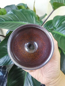 名盏阁 非遗名家建盏 张伟 落灰烧 柴烧铁锈 兔豪油滴建盏 主人杯