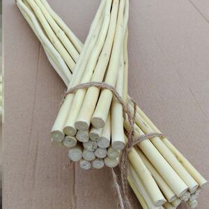 桑木桑枝桑木枝拍打棒桑木棒桑枝棒桑枝经络棒桑树枝敲打棒桑条棒