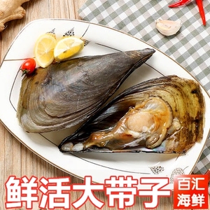 000人付款淘宝北京闪送海鲜鲜活带子新鲜绿贝海鲜瑶贝 大扇贝类水产
