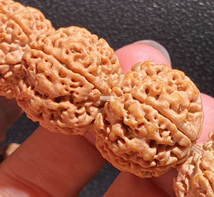 尼泊尔大金刚菩提子手串原籽盘玩核桃文玩佛珠手持