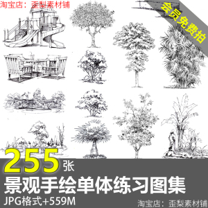 园林景观单体植物手绘速写树木花草小景钢笔画马克笔临摹图片素材