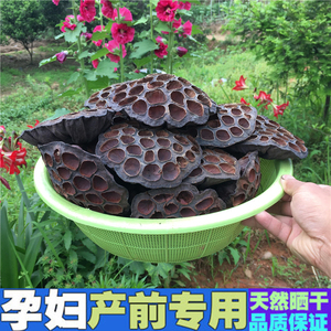 干莲蓬头食用枯莲房无硫天然莲子中药材孕妇食用去胎毒入药莲子壳