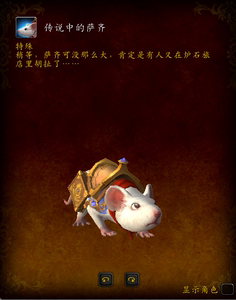 亚服魔兽世界传说中的萨齐小老鼠坐骑炉石天马坐骑佣兵战纪