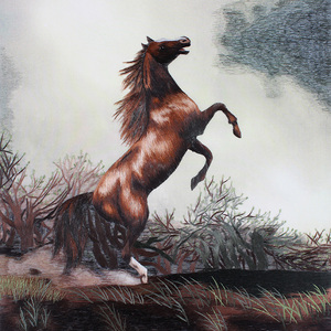 苏绣刺绣diy初学材料包 针迹扫描 马到成功 动物 手工套件 自己绣