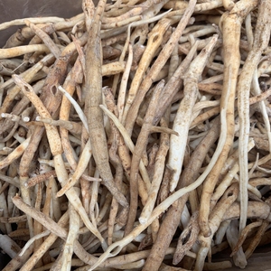 野生沙参 巴中特产通江农家川明参无硫沙参煲汤 一斤
