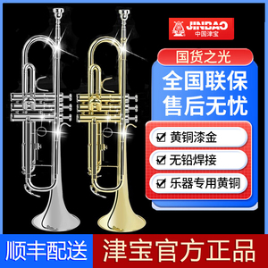 津宝小号乐器降B调JBTR-300/410430小学生初学鼓乐队儿童专业演奏