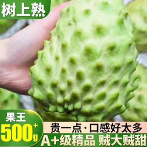 牛奶凤梨释迦果林檎番荔枝大果佛头摩尼果10斤释迦果新鲜水果包邮