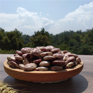 湖南桂东大花豆荷包豆大肾豆花芸豆状元豆大肾豆新鲜非花腰豆