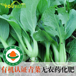 优异家新鲜有机蔬菜小青菜农产品油菜时令现摘上海青鸡毛菜400克