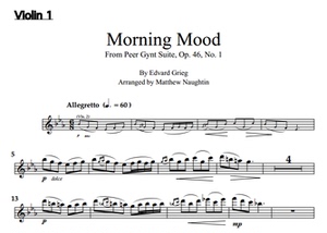 同款货源中国曲谱淘宝格里格 晨曲 选自《培尔 金特》组曲 长笛谱