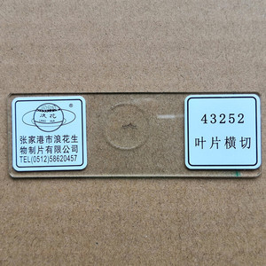 显微镜永久装片