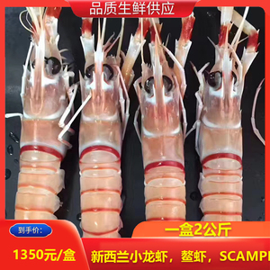 新西兰进口小龙虾鳌虾scampi斯干比小龙虾南极海鳌虾2号一盒2公斤