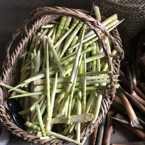 野生小竹笋 水笋 去壳小野笋 焯水后真空包装发货 3斤装 包邮