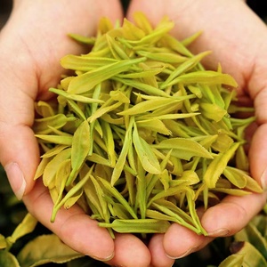 岳阳黄茶君山黄茶霍山黄芽君山银针黄茶特级霍山黄芽2021新茶250g