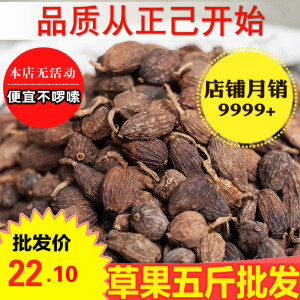 草果 500g 包邮 云南新货 中药材食用香料调料卤料大全 正己干货