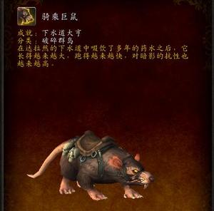 魔兽世界手工代练雷霆红玉云端翔龙阿拉尼下水道老鼠骑乘巨鼠坐骑