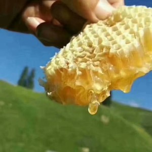 新疆伊犁尼勒克纯山花黑蜂蜜,都是自家生产的蜂蜜