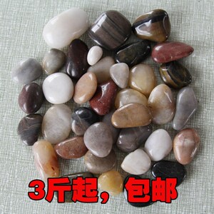大石头盆栽大小养鱼水池大粒石子家用铺底鱼缸装饰石头养花鹅卵石