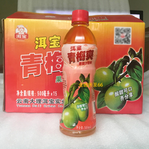 洱宝青梅爽果蔬汁饮料500ml*15瓶 云南大理特产果汁饮料饮品