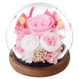 创意新款永生花玫瑰水晶球玻璃罩精美礼盒生日礼物送女友表白摆件
