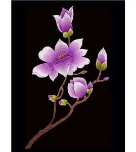 苏绣刺绣diy套件初学 0基础针迹玉兰花 手工刺绣自学装饰画 非成