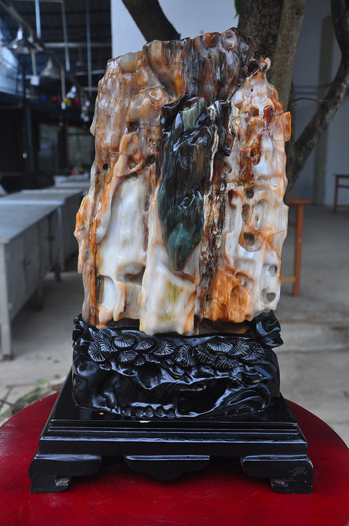 缅甸精品树化玉摆件冰种木化玉原石树化石奇石18281015