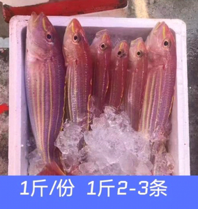 电白特产博贺港深海天然海鱼刀鲤鱼钓口红杉鱼海钓金线鱼冰鲜海产