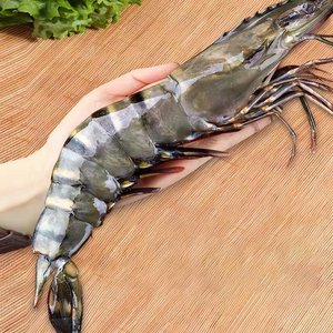 大黑虎虾超大鲜活野生海鲜大虾冷冻特大虾类海虾斑节虾新鲜九节虾