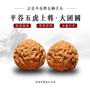 大团圆狮子头平谷老树精品文玩核桃野生大尺寸麻核桃收藏级手把件