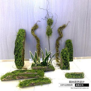 创意树皮多肉苔藓摆放仿真植青苔藤条壁挂橱窗布景装饰绿植花艺