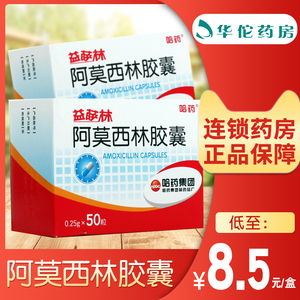 阿莫西林胶囊50粒哈药