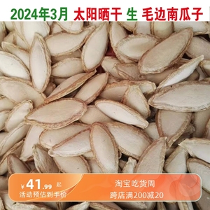 2024年云南南瓜子毛边南瓜子原味晒干长瓜子农家老品种生瓜子零食
